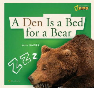 Den is a Bed for a Bear