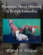 Mountain Sheep Hunting in British Columbia