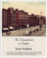 Insurrection in Dublin