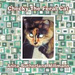 Checky The Feral Cat