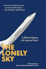 Lonely Sky