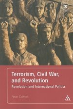 Terrorism, Civil War, and Revolution