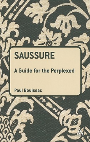 Saussure: A Guide For The Perplexed