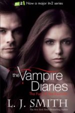 Vampire Diaries: The Fury