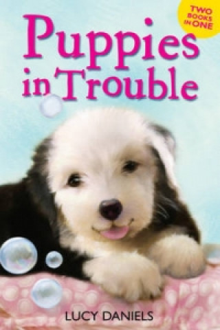 Animal Ark: Puppies in Trouble