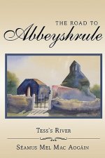 Road to Abbeyshrule