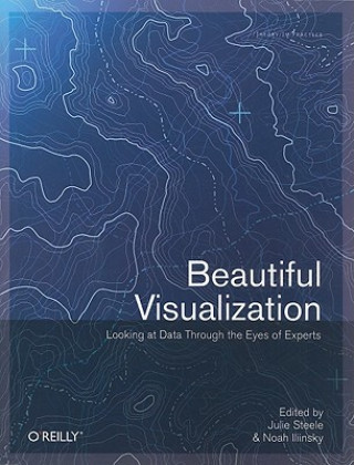 Beautiful Visualization : Looking At Data Through The Eyes Of Experts