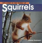 Welcome Squirrels (Wonderful W