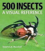 500 Insects