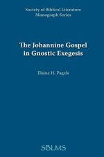 Johannine Gospel in Gnostic Exegesis