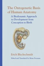 Ontogenetic Basic of Human Anatomy