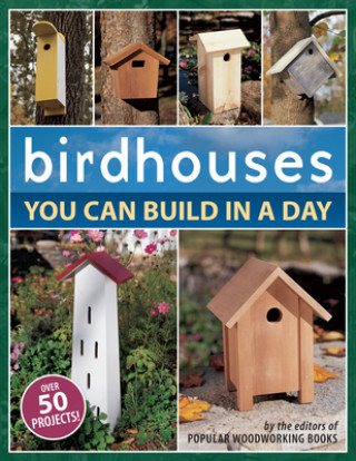 Birdhouses You Can Build in a Day (Popular Woodworking)(Brožovaná)