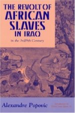 Revolt of African Slaves in Iraq in the III-IX Century