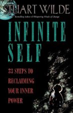 Infinite Self