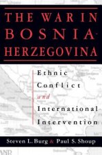 Ethnic Conflict and International Intervention