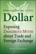 MAKING SENSE OF THE DOLLAR