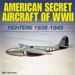 American Secret Aircraft of WWII