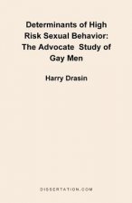 Determinants of High Risk Sexual Behavior