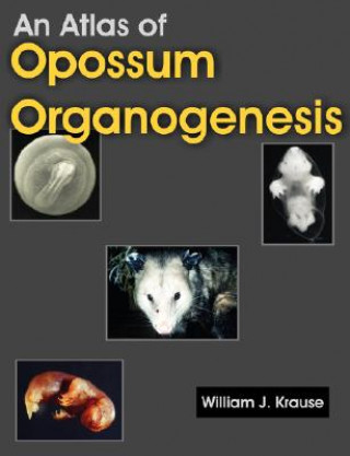 Atlas of Opossum Organogenesis