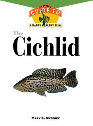 Cichlid