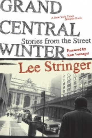 Grand Central Winter