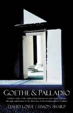 Goethe and Palladio