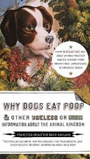 Why Dogs Eat Poop & Other Useless or Gross Information about