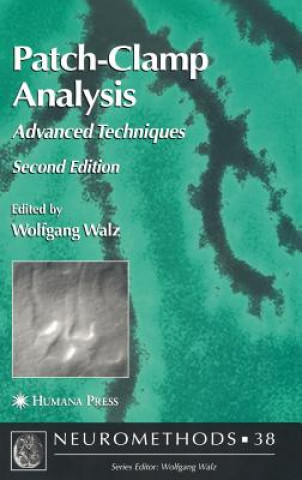 Patch-Clamp Analysis