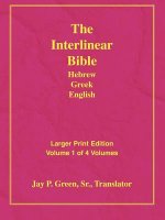 Larger Print Bible-Il-Volume 1