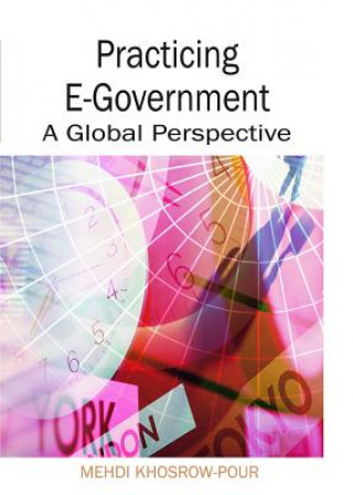 Practicing E-Government