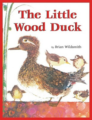 Little Wood Duck