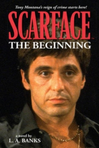 Scarface Volume 1: The Beginning Volume