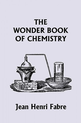 Wonder Book of Chemistry (Yesterday's Classics)