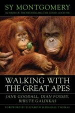 Walking with the Great Apes