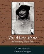 Mule-Bone