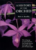 History of the Orchid