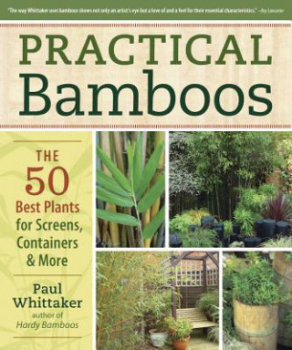 Practical Bamboos the 50 Best Plants for Screens, Containers & More
