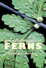Natural History of Ferns