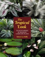 Tropical Look