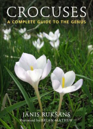 Crocuses a Compete Guide to the Genus
