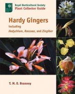 Hardy Gingers, Including Hedychium, Roscoea, and Zingiber