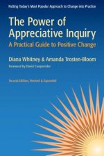 Power of Appreciative Inquiry: A Practical Guide to Positive