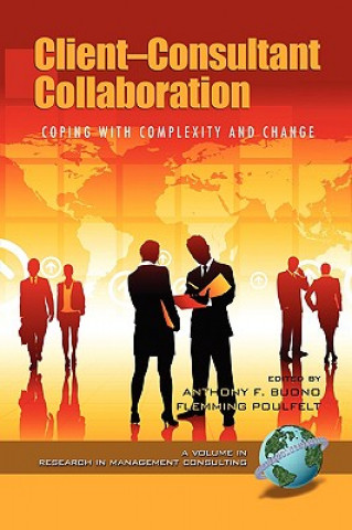Client-consultant Collaboration: Coping with Complexity and Change