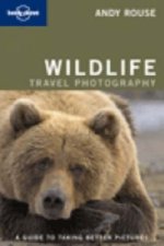 Wildlife Photography