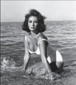 Elizabeth Taylor Suedelux Journal