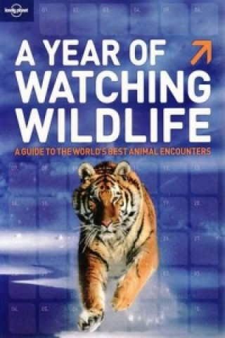 Year of Watching Wildlife