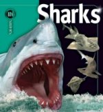 Sharks