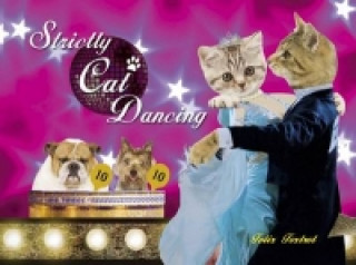 Strictly Cat Dancing