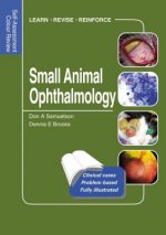 Small Animal Ophthalmology