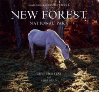 New Forest National Park